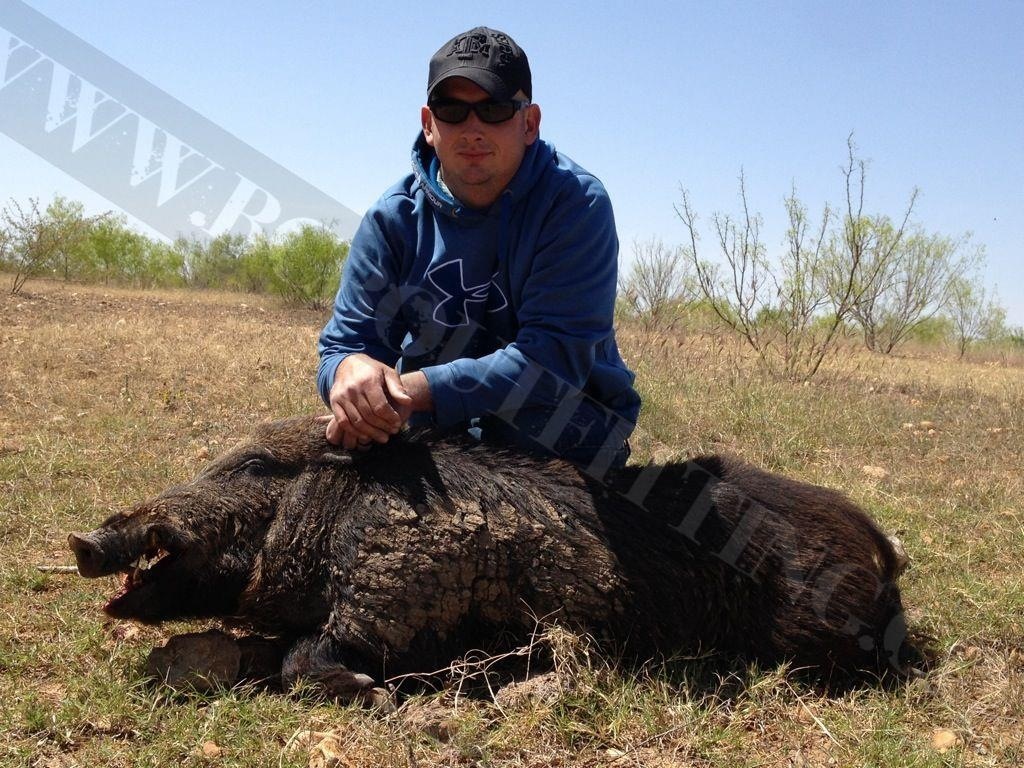 Texas hog hunt from helicopter