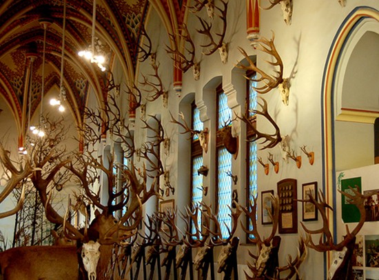 Decorating With Antlers Hunting