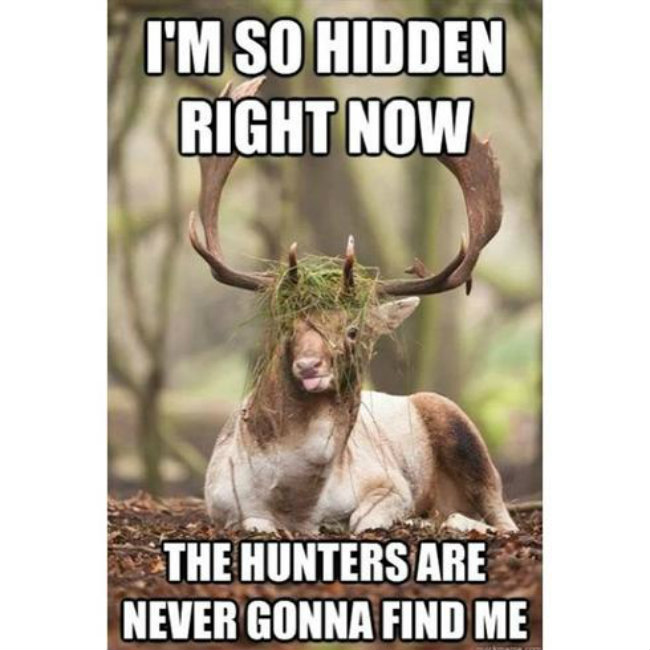 Funnier Meme | Hunting