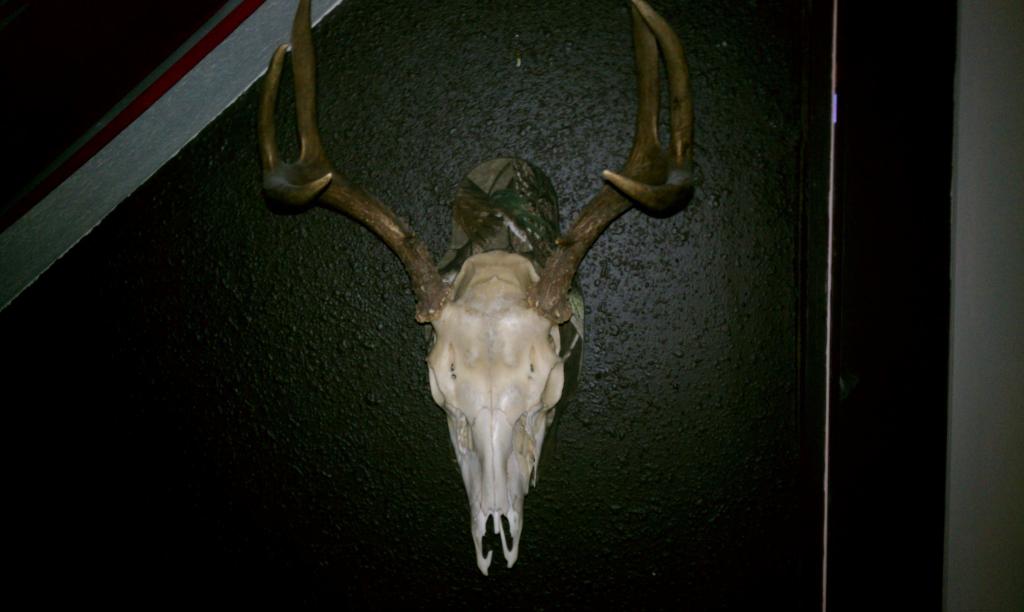 2nd deer, Washington | Hunting