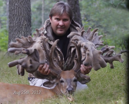 Whitetail Deer On Steroids