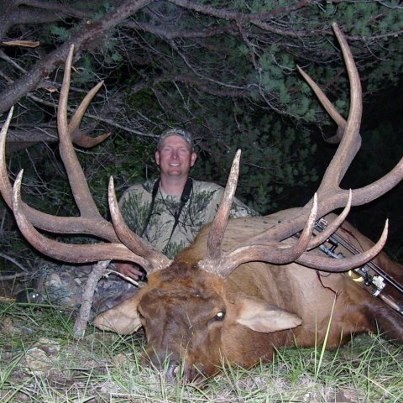 Big Bull Elk, Arizona | Hunting
