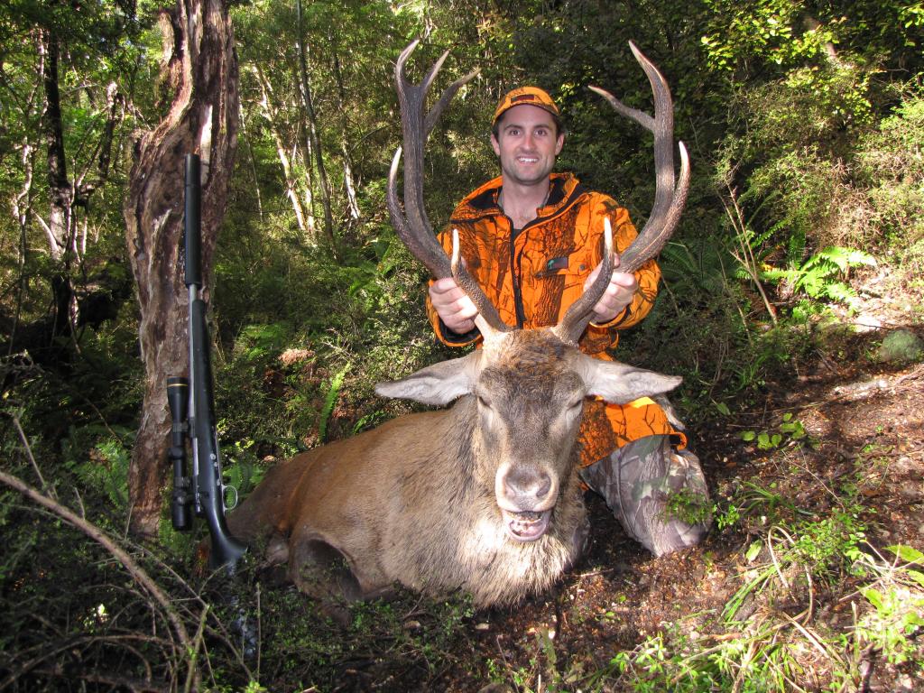 New Zealand Red Deer Stag Hunting