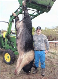 760 pound Crossbow Hog