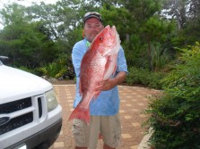Red Snapper