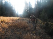 Archery Season Elk Hunting