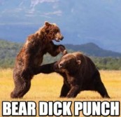 BEAR Dick PUNCH