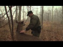 Beware of Robo Deer. Video