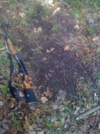 Big Ol Buck scrape i found during the shotgun hunt