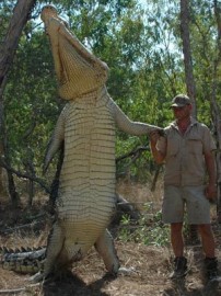Biggest Crocodile I've Ever Seen
