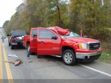 Deer vs Truck