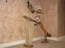 Fox and Pheasant