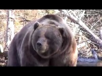 Grizzly need a crescent wrench. Video