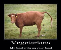 Hey Vegans!