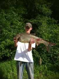 huge carp at rend lake dam