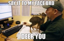 I Deer You