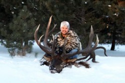 Minnesota Record Elk