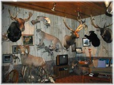 Montana Hunting Lodge