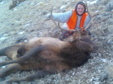 My 1st elk