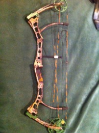 My New Bow