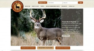 Texas Buck Registry