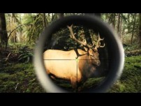 The Hunt - Video