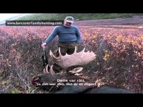 Unbelievable BC Moose Hunt