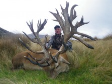 World Record red stag