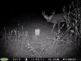 game camera pics