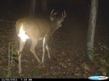 good buck from friends trail cam