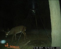 Monster Maryland Whitetails!