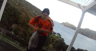 20 pound snapper speared on great barrier island