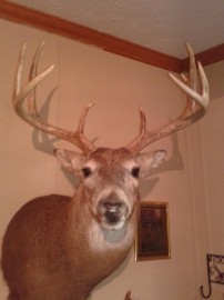 2007 Kansas Buck