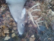2011 My second Buck!