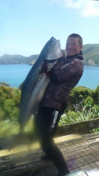 23kg kingfish speared off great barrier