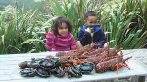 Abalone(paua) and Crayfish