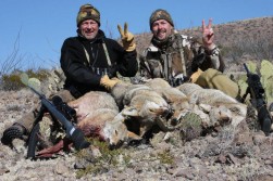 4 Nice Coyotes Killed