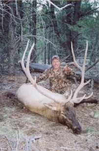 Tom's Huge Elk