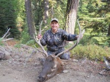 6x5 Elk Sept 2012