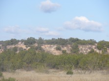 Texas whitetail hunt