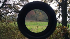 Turkey Through My Scope While Small Game Hunting