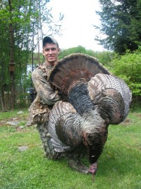Another Spring Gobbler