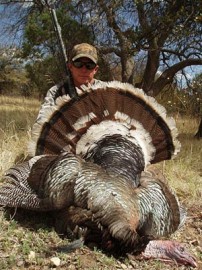 Arizona Gould's Turkey (#1 SCI Muzzloader Shotgun)