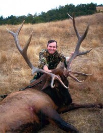 Big California Elk