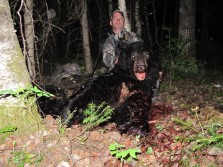 Boone and Crockett Black Bear- Archery