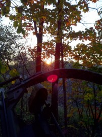 Bow Hunting For Deer