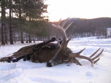 The beauty of late season hunts