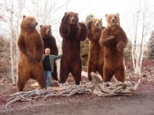Da Bears!