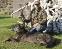 Crazy Wolf Hunting Story