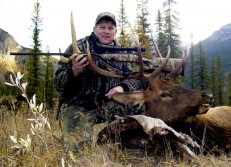 Another monster Canadian elk.